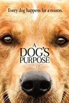 A DOG’S PURPOSE (2017) หมา เป้าหมาย และเด็กชายของผม พากย์ไทย HD