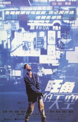 Man Wanted (1995) ฟัด ฟัด ฟัด ทะลุฟ้าโหด