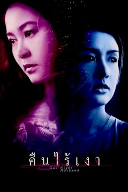 คืนไร้เงา One Night Husband (2003)