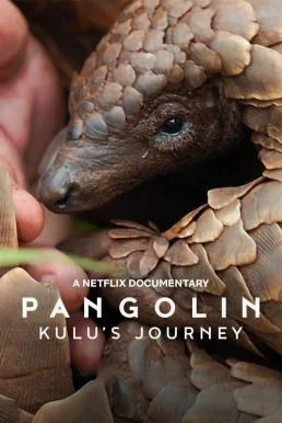Pangolin: Kulu's Journey การเดินทางของคูลู (2025) NETFLIX บรรยายไทย